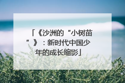 《沙洲的“小树苗”》：新时代中国少年的成长缩影