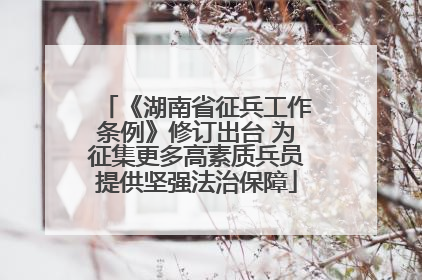 《湖南省征兵工作条例》修订出台 为征集更多高素质兵员提供坚强法治保障