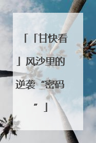 「甘快看」风沙里的逆袭“密码”