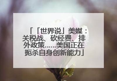 「世界说」美媒：关税战、砍经费、排外政策……美国正在扼杀自身创新能力