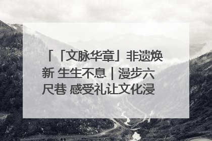 「文脉华章」非遗焕新 生生不息｜漫步六尺巷 感受礼让文化浸润的“巷”往生活
