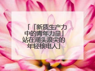 「新质生产力中的青年力量」站在潮头浪尖的年轻核电人