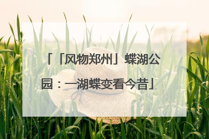 「风物郑州」蝶湖公园：一湖蝶变看今昔