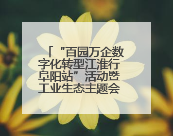 “百园万企数字化转型江淮行阜阳站”活动暨工业生态主题会议成功举办