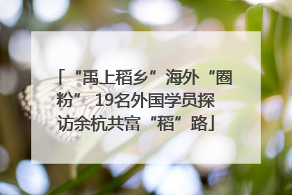 “禹上稻乡”海外“圈粉” 19名外国学员探访余杭共富“稻”路