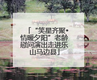 “笑星齐聚•情暖夕阳”老龄慰问演出走进乐山马边县