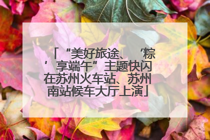 “美好旅途、‘粽’享端午”主题快闪在苏州火车站、苏州南站候车大厅上演