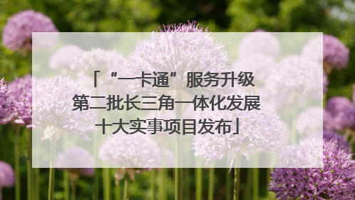 “一卡通”服务升级 第二批长三角一体化发展十大实事项目发布