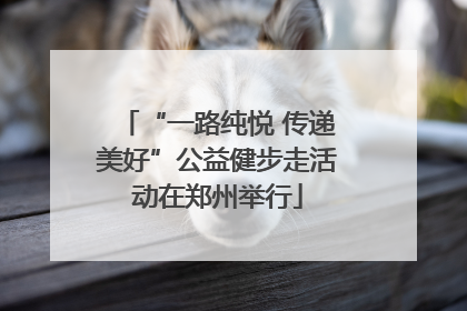 “一路纯悦 传递美好”公益健步走活动在郑州举行