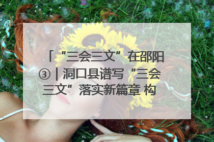 “三会三文”在邵阳③｜洞口县谱写“三会三文”落实新篇章 构建协同联动大格局