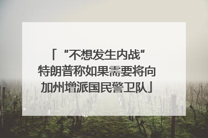 “不想发生内战” 特朗普称如果需要将向加州增派国民警卫队