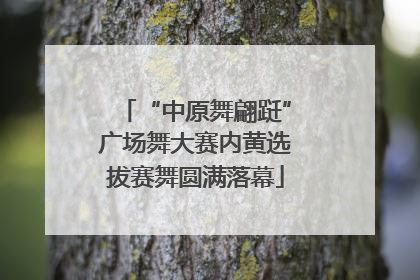 “中原舞翩跹”广场舞大赛内黄选拔赛舞圆满落幕