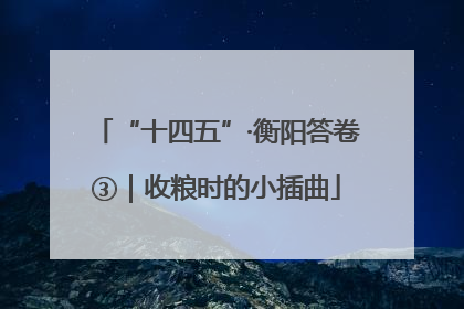 “十四五”·衡阳答卷③｜收粮时的小插曲