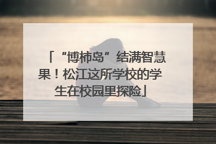 “博柿岛”结满智慧果！松江这所学校的学生在校园里探险