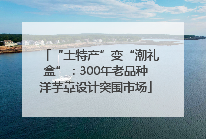 “土特产”变“潮礼盒”：300年老品种洋芋靠设计突围市场