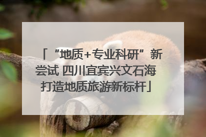 “地质+专业科研”新尝试 四川宜宾兴文石海打造地质旅游新标杆