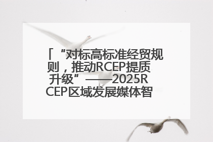 “对标高标准经贸规则，推动RCEP提质升级”——2025RCEP区域发展媒体智库论坛举行专题对话