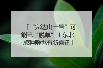 “完达山一号”可能已“脱单”！东北虎种群也有新喜讯