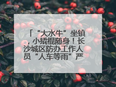 “大水牛”坐镇，小撬棍随身！长沙城区防办工作人员“人车等雨”严阵以待