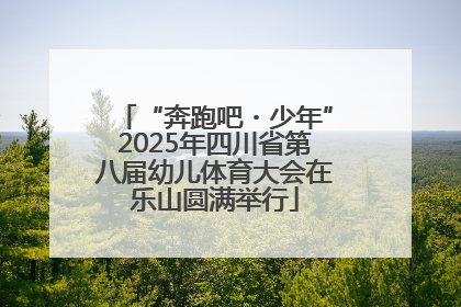 “奔跑吧・少年”2025年四川省第八届幼儿体育大会在乐山圆满举行