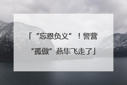 “忘恩负义”！警营“孤傲”燕隼飞走了