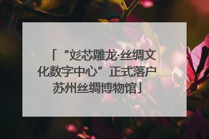 “彣芯雕龙·丝绸文化数字中心”正式落户苏州丝绸博物馆
