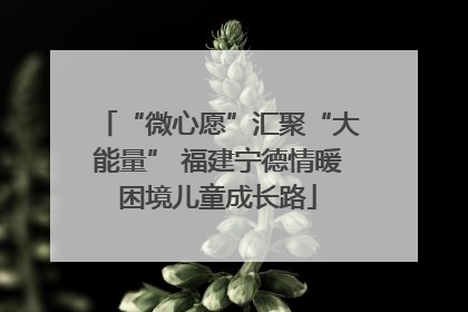 “微心愿”汇聚“大能量” 福建宁德情暖困境儿童成长路
