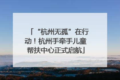 “杭州无孤”在行动！杭州手牵手儿童帮扶中心正式启航