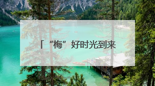 “梅”好时光到来！杨梅开始上市，产量丰富价格亲民