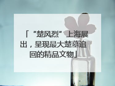 “楚风烈”上海展出，呈现最大楚墓追回的精品文物
