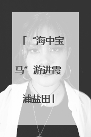 “海中宝马”游进霞浦盐田