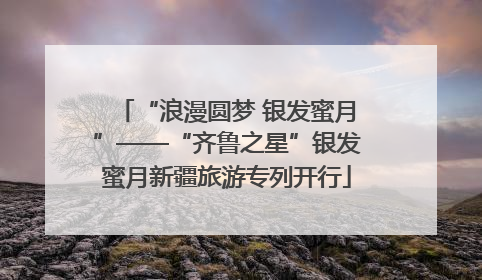 “浪漫圆梦 银发蜜月”——“齐鲁之星”银发蜜月新疆旅游专列开行