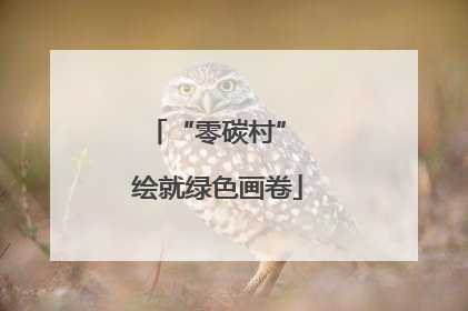 “零碳村” 绘就绿色画卷