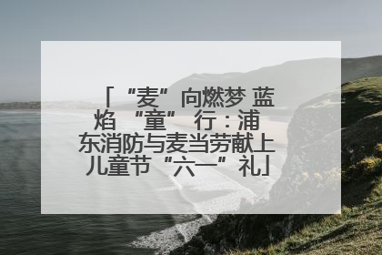 “麦”向燃梦 蓝焰 “童” 行：浦东消防与麦当劳献上儿童节“六一”礼