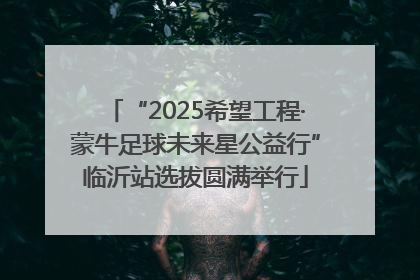 “2025希望工程·蒙牛足球未来星公益行”临沂站选拔圆满举行