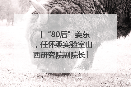 “80后”姜东，任怀柔实验室山西研究院副院长