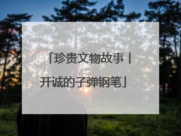 珍贵文物故事丨开诚的子弹钢笔