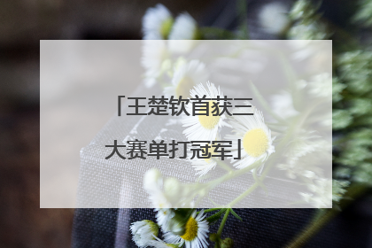 王楚钦首获三大赛单打冠军