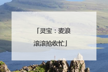 灵宝：麦浪滚滚抢收忙