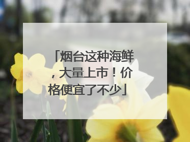 烟台这种海鲜，大量上市！价格便宜了不少
