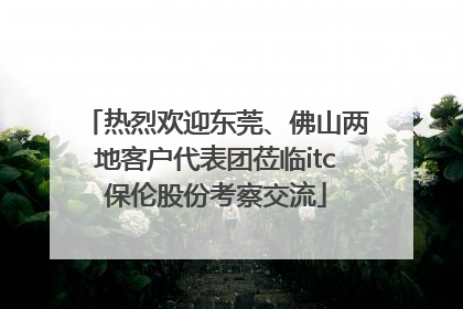 热烈欢迎东莞、佛山两地客户代表团莅临itc保伦股份考察交流