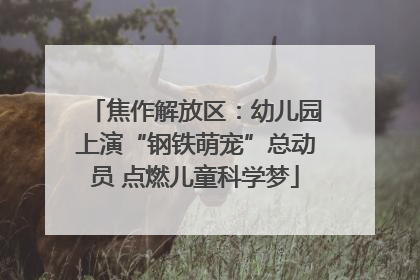 焦作解放区：幼儿园上演“钢铁萌宠”总动员 点燃儿童科学梦