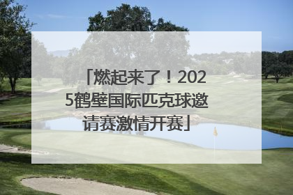燃起来了！2025鹤壁国际匹克球邀请赛激情开赛