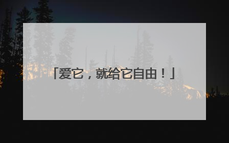 爱它，就给它自由！