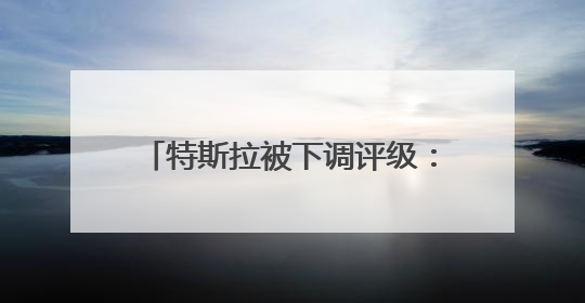 特斯拉被下调评级：马斯克亏了多少钱？