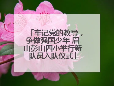 牢记党的教导，争做强国少年 眉山彭山四小举行新队员入队仪式