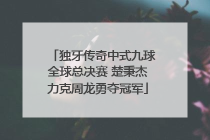独牙传奇中式九球全球总决赛 楚秉杰力克周龙勇夺冠军