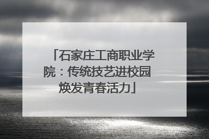 石家庄工商职业学院：传统技艺进校园焕发青春活力