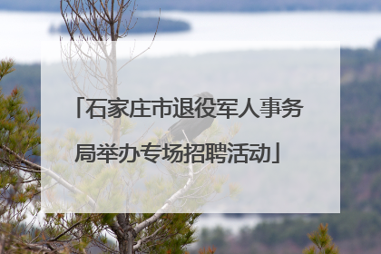 石家庄市退役军人事务局举办专场招聘活动
