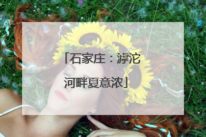 石家庄：滹沱河畔夏意浓